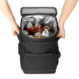 Portable Insulated Picnic Backpack