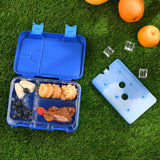 Leak Proof Bento Lunch Box with Removable Ice Pack for Kids Blue