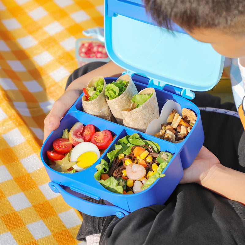 Large Blue Bento Lunch Boxes for Kids