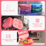 Pink Bento Lunch Boxes for Kids