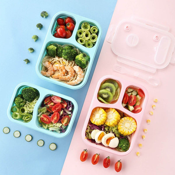 Eco silicone collapsible bento style lunchboxes